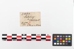Etiketten zu Bronzegürtelringe (NHMW-PRAE-023669)